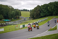 Lower Group Orange Bikes